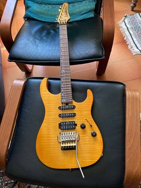 Washburn Mercury Series
